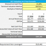 Graphical representation of Discounted Cash Flow analysis with annual revenues and EBITDA metrics.