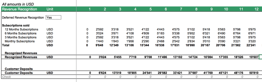 Saas Revenue Recognition Model