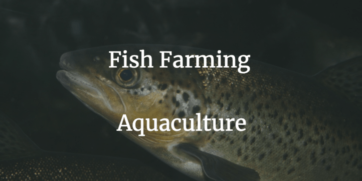 Fish Farming Aquaculture