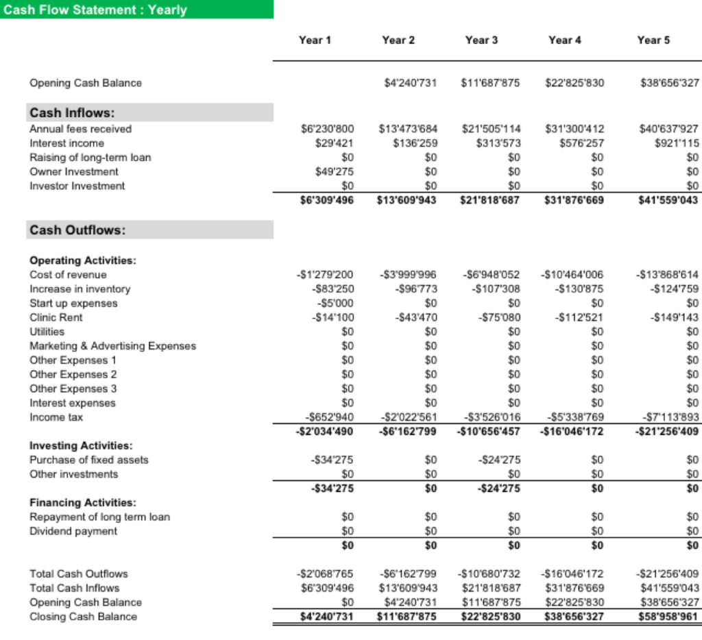 healthcare cash flow statement efinancialmodels sample cash flow