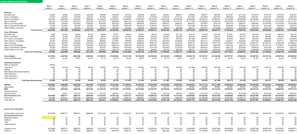 example of operating budget in healthcare efinancialmodels dcf analysis example
