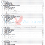 Table of Contents for Financial Valuation Report | eFinancialModels Overview of key sections in a financial valuation report, including methods and forecasts.