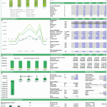 Executive Summary of Tourism Project Financial Model | eFinancialModels Financial overview chart with projections and key ratios for tourism project model.