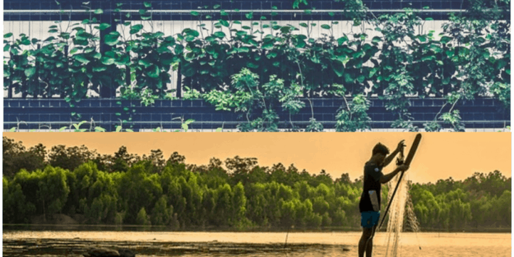 Agricultural Financial Model Bundle