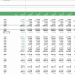 Profit and loss statement illustrating revenues, costs, and net income for a parking operator.