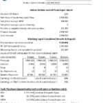 Business Valuation Cash Report Overview | eFinancialModels Cash report showcasing business valuation metrics, including PE ratio, NPV, IRR, and cash flow analysis.