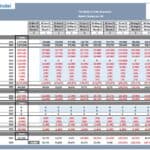 Monthly cash budget model displaying inflows and outflows in USD.