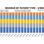 Monthly Revenue Breakdown by Patient Type for Birth Center | eFinancialModels Chart showing diverse patient type revenues over time for a birth center.
