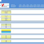 Economic Value Added Model details including timeline and color coding conventions