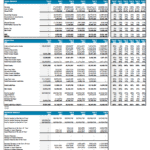 Financial Overview for Can Food Manufacturing Company | eFinancialModels Financial model template with income statement, balance sheet, and equity details.