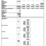 Financial Model Snapshot for Food Manufacturing Company | eFinancialModels Financial model details including equity capital and EBITDA multiples over multiple years.