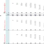 CAPEX Assumptions for Microfinance Salary-based Loans | eFinancialModels Financial model highlighting CAPEX projections for IT and transport assets.