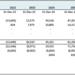 Microfinance Project IRR Forecast and Cash Flow Analysis | eFinancialModels IRR and cash flow projection table for a salary-based microfinance project.