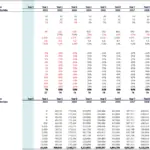 Microfinance Revenue Assumption Table for NowPay | eFinancialModels Revenue assumptions table for NowPay detailing user growth and income projections through 2030.