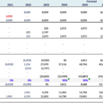 Microfinance Shareholder Financial Statement Overview | eFinancialModels Shareholder financial statement showing reserves, earnings, and dividends from 2021 to 2030.