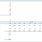 WACC Calculation and Discounted Cash Flow Analysis | eFinancialModels WACC calculation overview with projected cash flows for microfinance loans from 2021 to 2030.