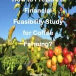 Coffee plants with a title on preparing a financial feasibility study.