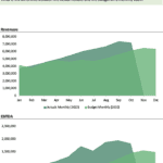 Monthly Actuals vs. Budget Comparison (2022) | eFinancialModels Monthly comparison chart showing actual vs. budgeted revenues and EBITDA from January to December 2022.