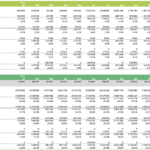 Monthly Budget vs. Actual Variance (2022) | eFinancialModels Budget vs. actual financial performance table for 2022, detailing revenues, costs, and net income.