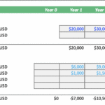 Cash flow forecast table with revenues and costs over five years.