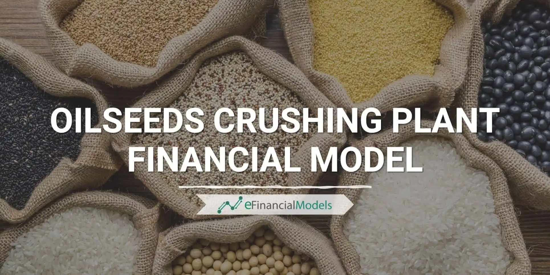 Oilseeds Crushing Plant Financial Model