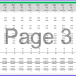 Monthly budget template displaying key financial metrics and ratios for analysis.