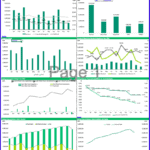 Monthly budget template displaying cash flow and expense trends.