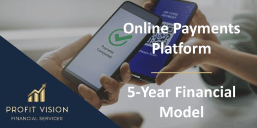 Online Payments Platform – 5 Year Financial Model