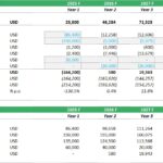 Financial model showing free cash flows and balance sheet projections for a restaurant.
