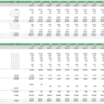 Balance Sheet and Cash Flow Statement budget for SaaS subscription model.