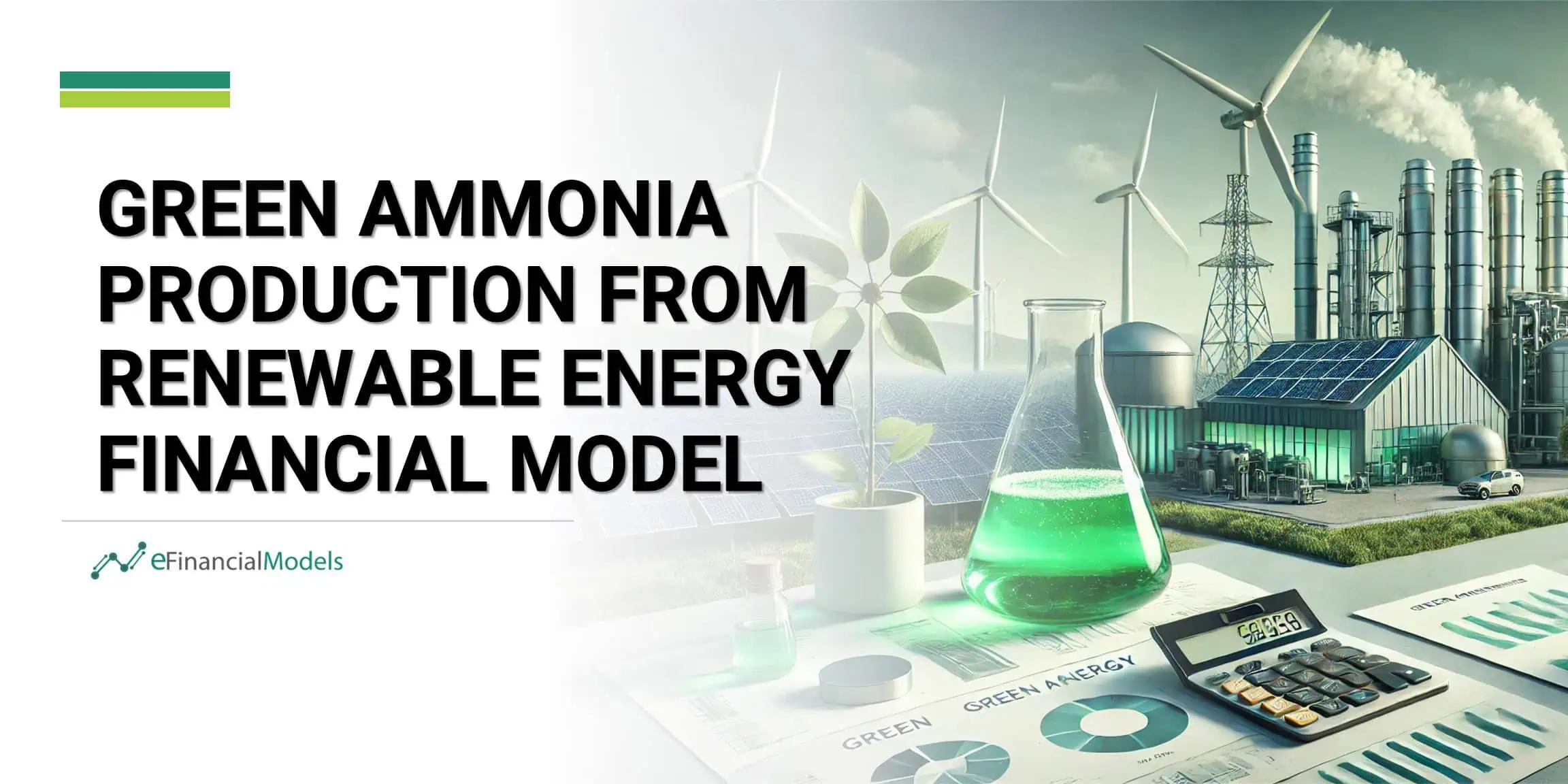 Green Ammonia from Renewable Energy Financial Model