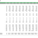 Solar Park Project - Financial Ratio Forecast