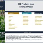 Overview of the financial model sections for a CBD products store.