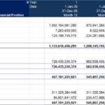 Financial position table showing assets, liabilities, and equity across multiple years.