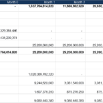 Comprehensive cash flow statement