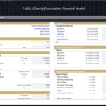 Assumptions for funding sources and expense allocations in a Public Foundation financial model.