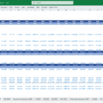 Balance sheet spreadsheet showing assets and liabilities for a shoe store in 2024.