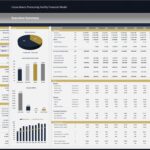 Executive summary chart detailing revenue, IRR, and financial projections for cocoa processing.