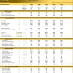 Financial Ratios Overview for Hair & Beauty Salon (2025-2029) | eFinancialModels Financial ratios chart displaying performance metrics for a salon business across five years.