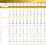 Annual Budget Overview for Hair and Beauty Salon | eFinancialModels Annual budget financial model showing revenue, costs, and net income for a hair salon.