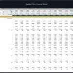 Monthly budget overview including income statement metrics for a medical clinic.