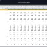 Monthly pharmacy budget detailing revenue, expenses, and net income projections.