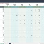 Monthly spending summary of credit card purchases categorized by product/service.