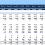 Pro Forma Income Statement showing monthly forecasts for revenue, costs, and profit margins.