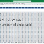 Excel template showing units sold input fields for products month-wise.