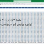 Excel input sheet for entering monthly product sales data in a financial model.