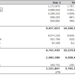 Financial model showing revenue, expenses, and net cash flow projections for a rental program.