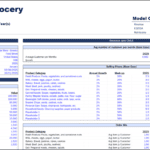 Financial model showing revenue, costs, and key assumptions for grocery store business analysis.