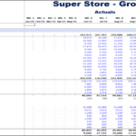 Profit & Loss statement showing revenue, expenses, and gross profit for a grocery store.
