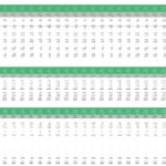 Detailed table displaying daily revenue, expenses, and cash flow projections.